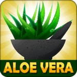 Logo of Aloe Vera Benefits android Application 